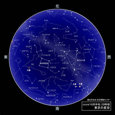 11/22是什麼星座